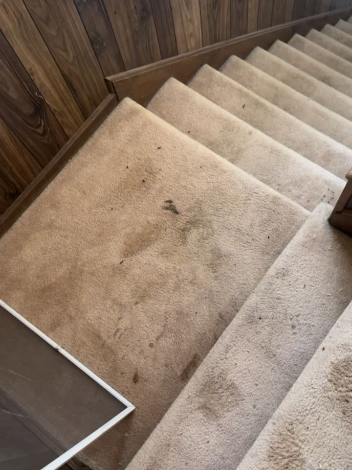 Before: worn carpet on a Zionsville staircase with a walnut-paneled landing