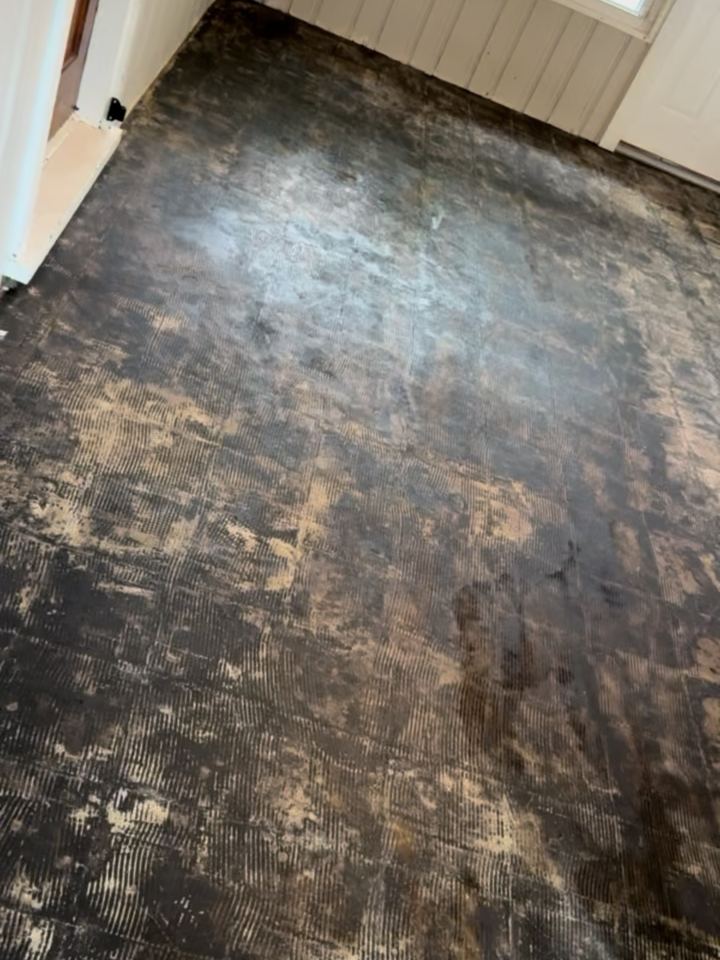 Step 1: old floor out, a pet-stained slab exposed, Indianapolis