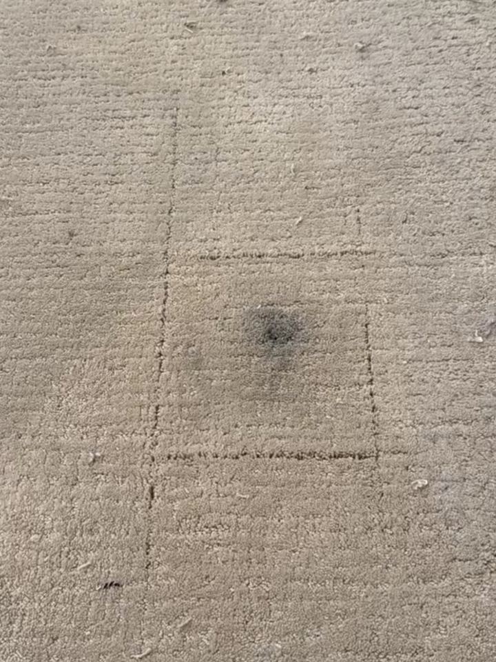 Before: a burn mark from a dropped light bulb in a patterned carpet, the patch area scored around it